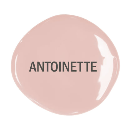 Antoinette - Annie Sloan CHALK PAINT TM decorative paint