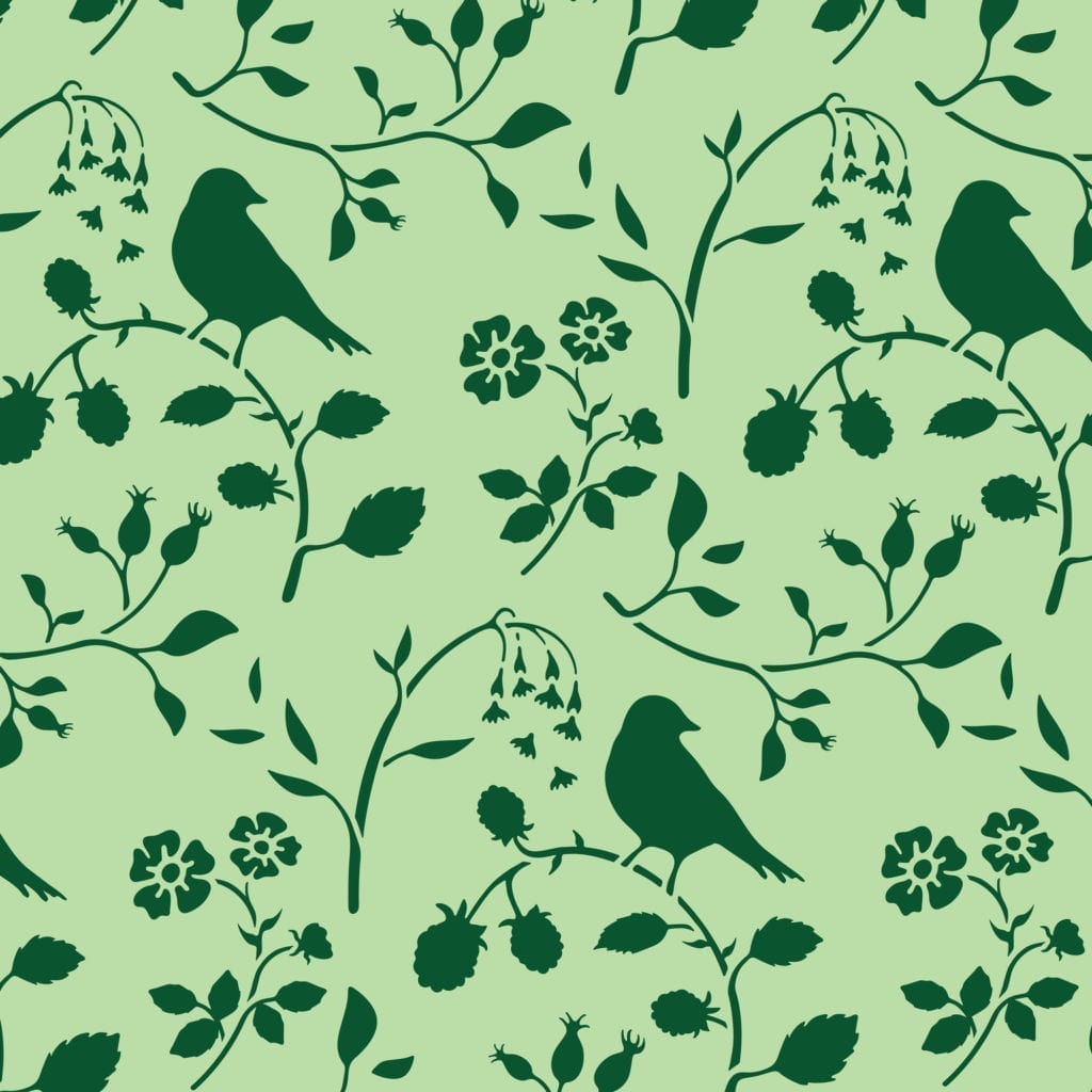 Diseño Countryside Bird pintado en Lem Lem y Amsterdam Green, imagen 1