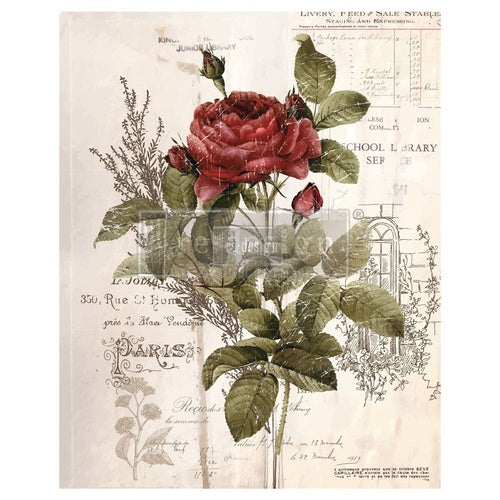 Transferencia decorativa Botanical Rose de Re-Design with Prima – diseño floral botánico para muebles, paredes y decoración | Anaqa Design