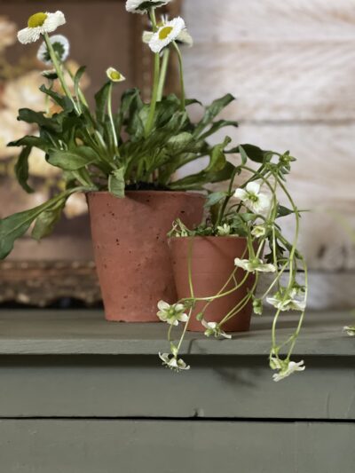 Olive - Annie Sloan CHALK PAINT TM decorative paint